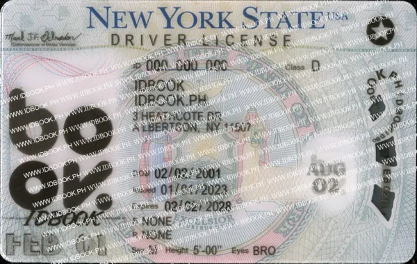 Buy New York-New fake ID front view online