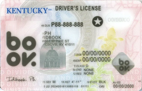 Buy Kentucky fake ID front view online