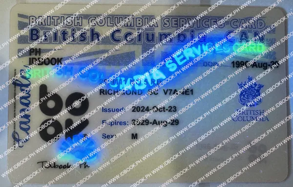 Buy British Columbia (BC-SERVICES CARD) fake ID front view online