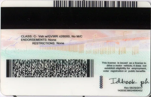 Buy California fake ID front view online