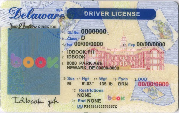 Buy Delaware fake ID front view online