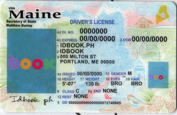 Buy Maine fake ID front view online