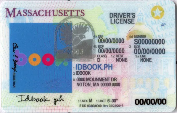 Buy Massachusetts fake ID front view online