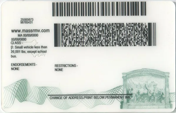 Buy Massachusetts fake ID front view online