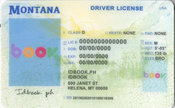 Buy Montana fake ID front view online