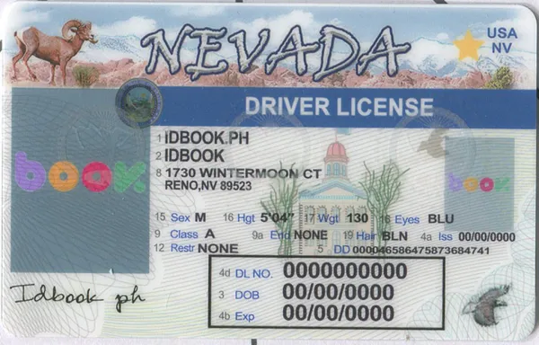 Buy Nevada-old fake ID front view online