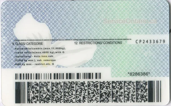 Buy Ontario fake ID front view online