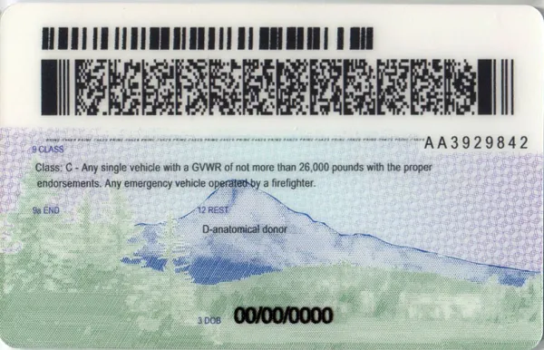 Buy Oregon fake ID front view online