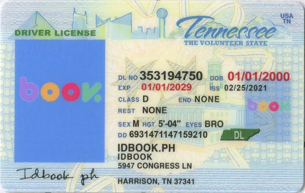 Buy Tennessee fake ID front view online
