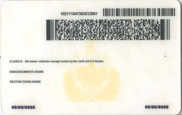 Buy Vermont fake ID front view online