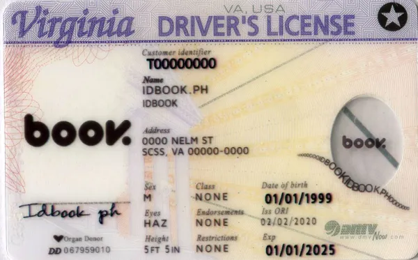 Buy Virginia-old fake ID front view online
