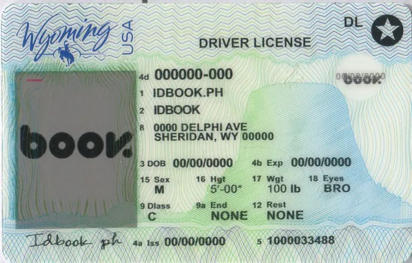 Buy Wyoming fake ID front view online
