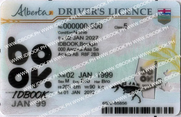 Buy Alberta fake ID front view online