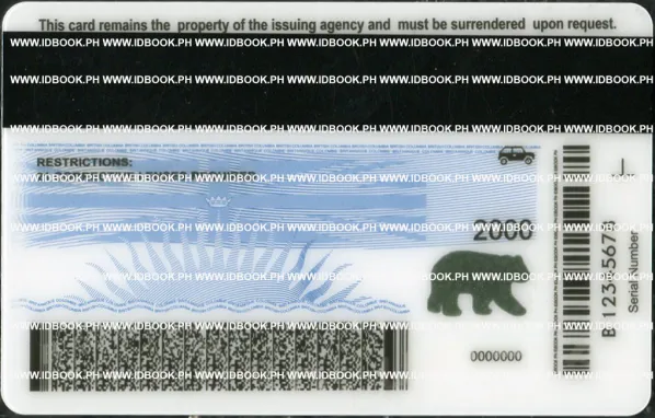 Buy British Columbla (BC) fake ID front view online