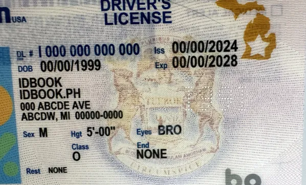 Thumbnail 5 for Michigan-New