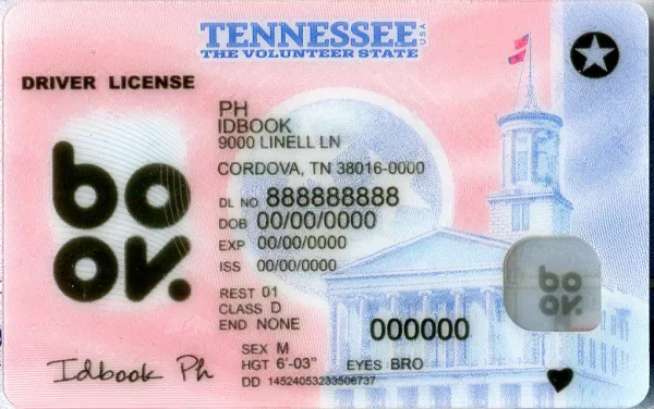 Thumbnail 3 for Tennessee-New