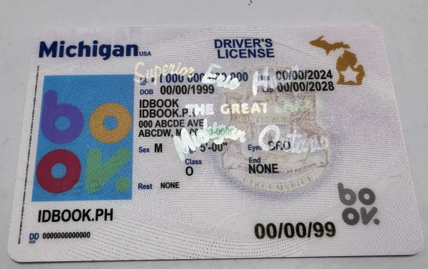 Thumbnail 4 for Michigan-New