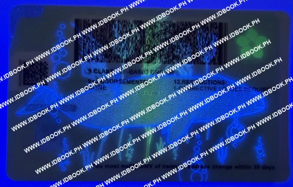 Thumbnail 4 for Alaska-New-2025