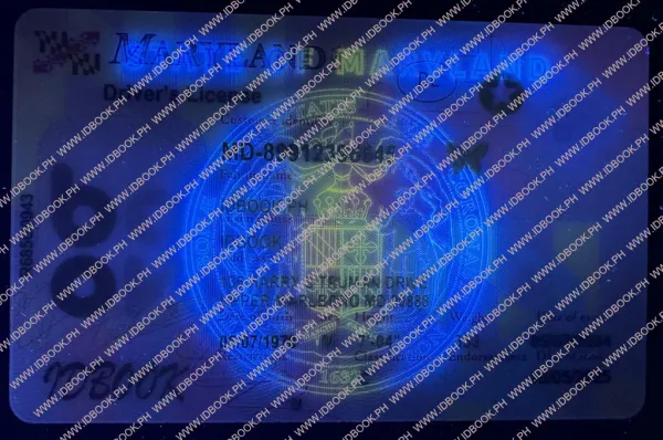 Thumbnail 2 for Maryland-New-2025