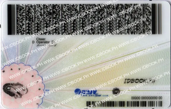 Thumbnail 4 for Virginia-new