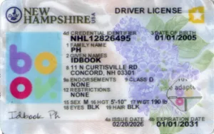 Thumbnail 1 for NWE HAMPSHIRE (NEW 2026)