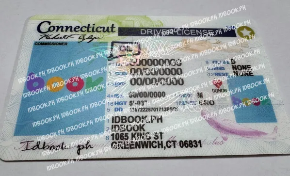 Thumbnail 4 for Connecticut