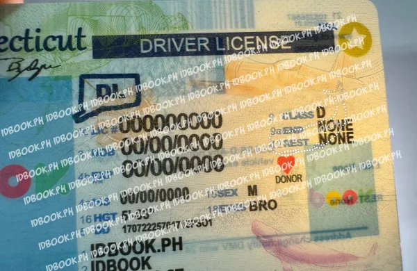 Thumbnail 5 for Connecticut