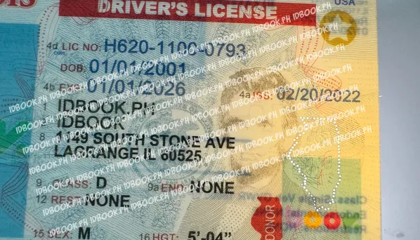 Thumbnail 5 for Illinois