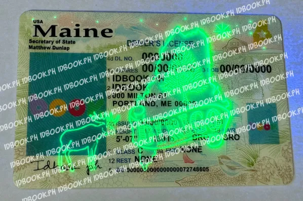 Thumbnail 3 for Maine