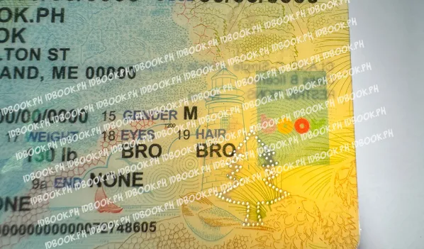 Thumbnail 4 for Maine