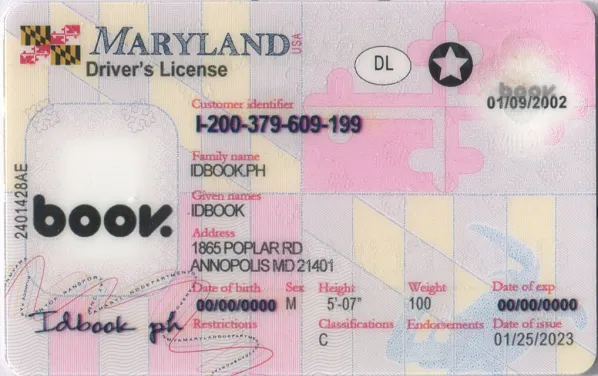 Maryland video preview