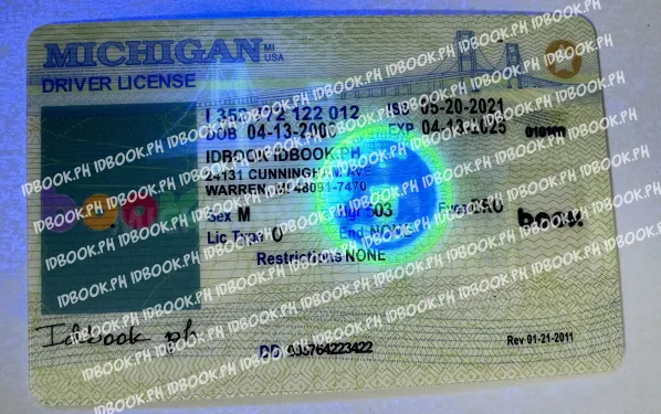 Thumbnail 3 for Michigan