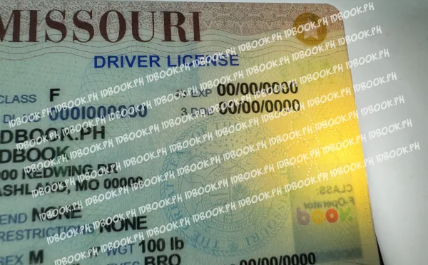 Thumbnail 4 for Missouri