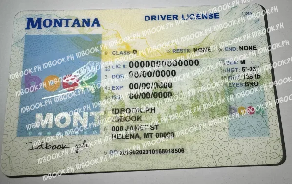 Thumbnail 3 for Montana