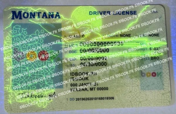 Thumbnail 4 for Montana