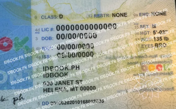 Thumbnail 5 for Montana