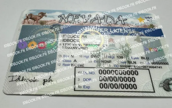 Thumbnail 4 for Nevada-old