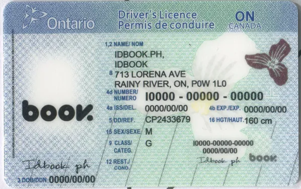Ontario video preview