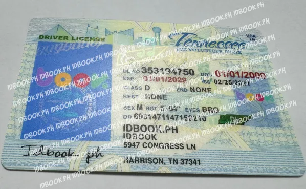 Thumbnail 3 for Tennessee