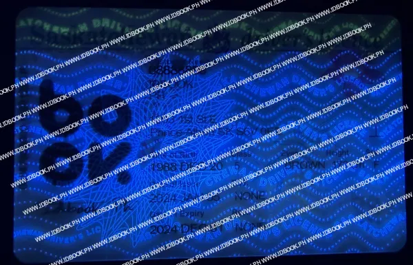 Thumbnail 4 for Saskatchewan SK