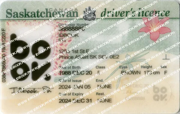 Thumbnail 5 for Saskatchewan SK