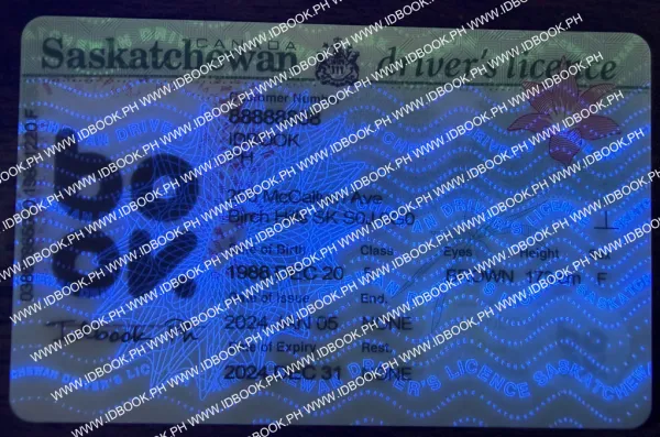 Thumbnail 4 for Saskatchewan SK