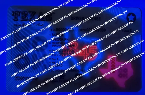 Thumbnail 3 for Texa-New-2025