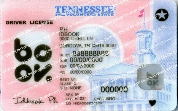 Thumbnail 1 for Tennessee-New