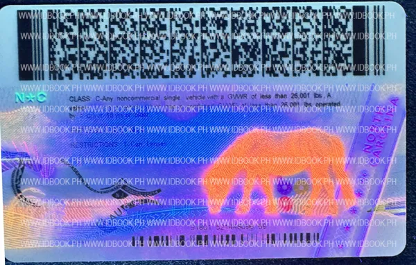 Thumbnail 3 for North Carolina-New