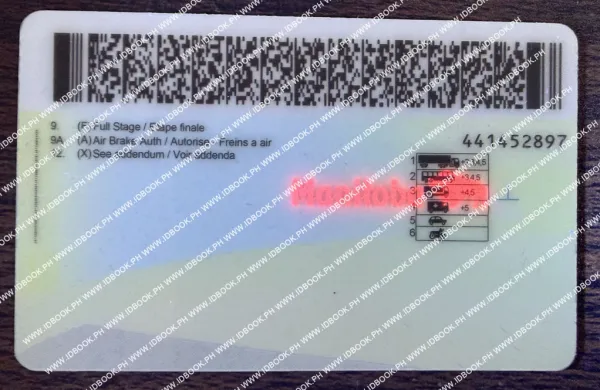 Thumbnail 5 for Manitba-MB