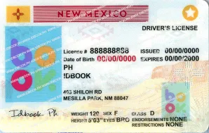 Thumbnail 2 for New Mexico-New 2025