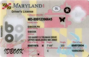 Thumbnail 1 for Maryland-New-2025
