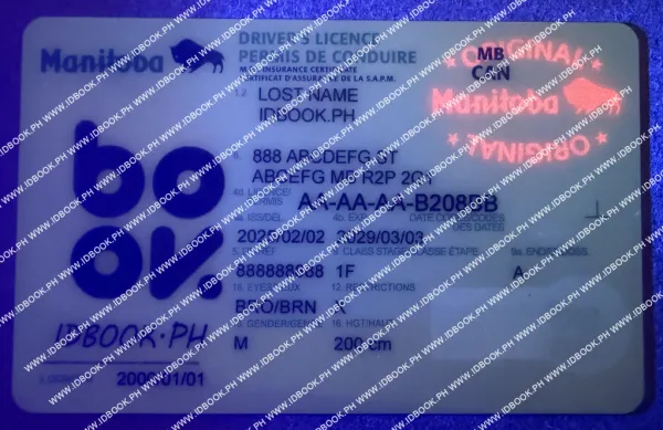 Thumbnail 4 for Manitba-MB