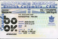 British Columbla (BC) fake ids